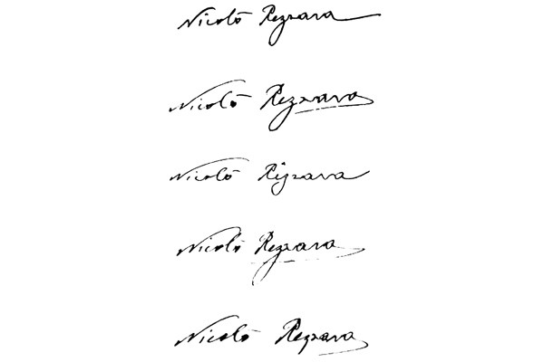 LOGO N (NICOL&Ograve; REZZARA)