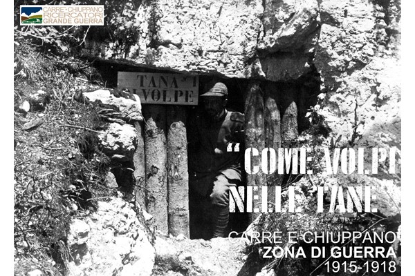 COME VOLPI NELLE TANE